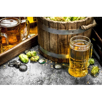 Misteri Svelati: Le Curiosità Più Strane del Mondo della Birra